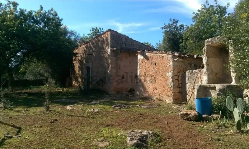 Rustic estate with tool shed — photo 1