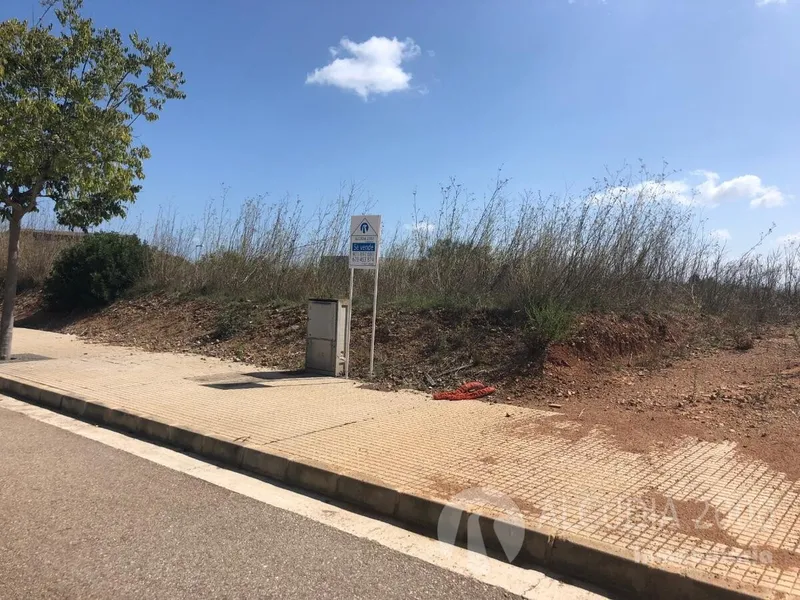 Land — photo 3
