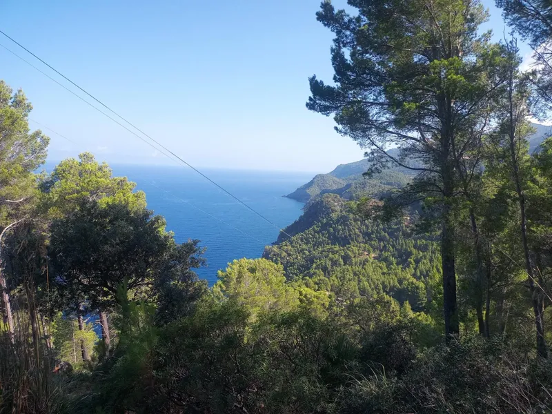 Rustic Plot in Son Fortuny – Estellencs, in the Heart of the Serra de Tramuntana — photo 1