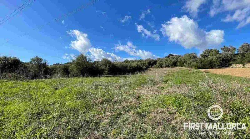 Real estate picture 0 Ref. No. 73251 — photo 7