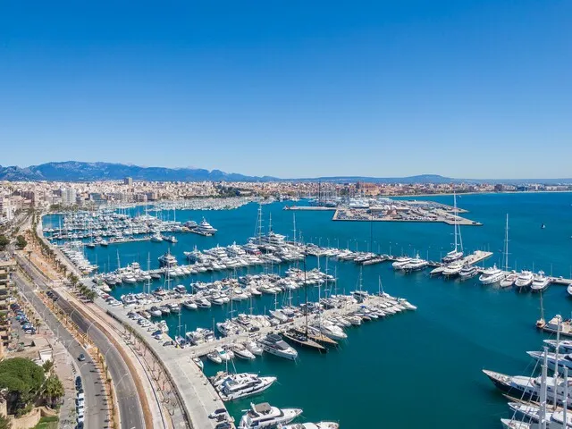 Building plot with bay views for sale in Son Gual, Palma, Mallorca — photo 10