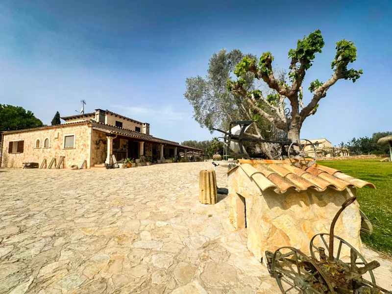 Spectacular finca with large plot, pool and exclusive ... — photo 7