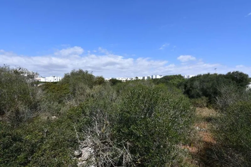 Large commercial plot with many options in Cala D'Or — photo 3