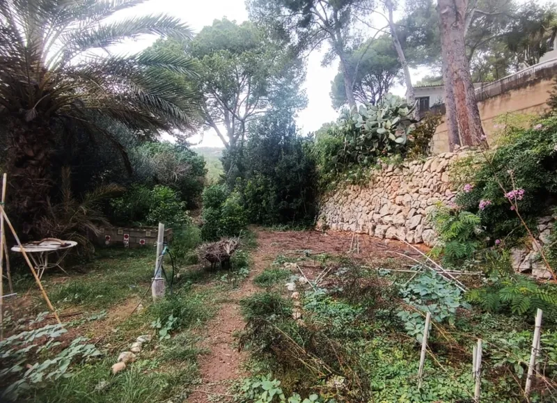 Exclusive plot ensemble with great potential in Port Andratx - main facade (15936) — photo 12