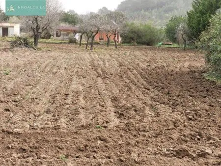 Rustic property - Selva (Afueras), Built Surface 24m², Plot Surface 3310m², 1 Room, 1 Bathroom — photo 9