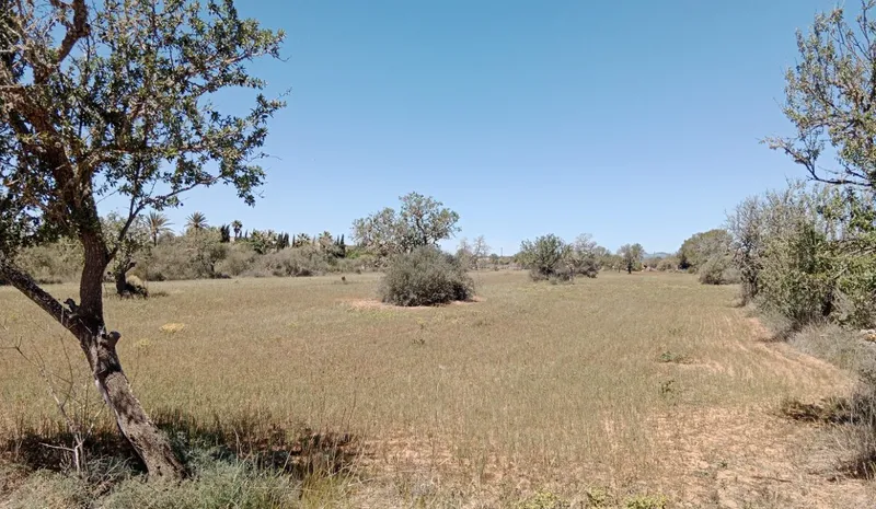 Country Land near Campos — photo 7