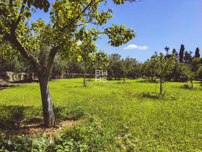 Rustic Finca for sale in Marratxí — photo 2