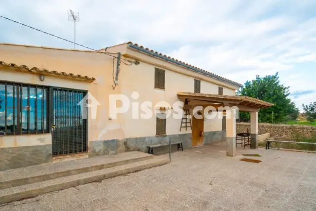 Rustic finca in Villafranca de Bonany — photo 1