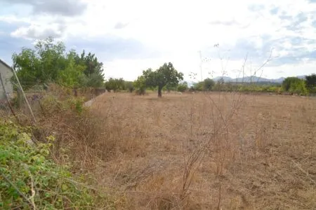 Rustic property - Campanet, Built Surface 20m², Plot Surface 4316m², 1 Room — photo 9