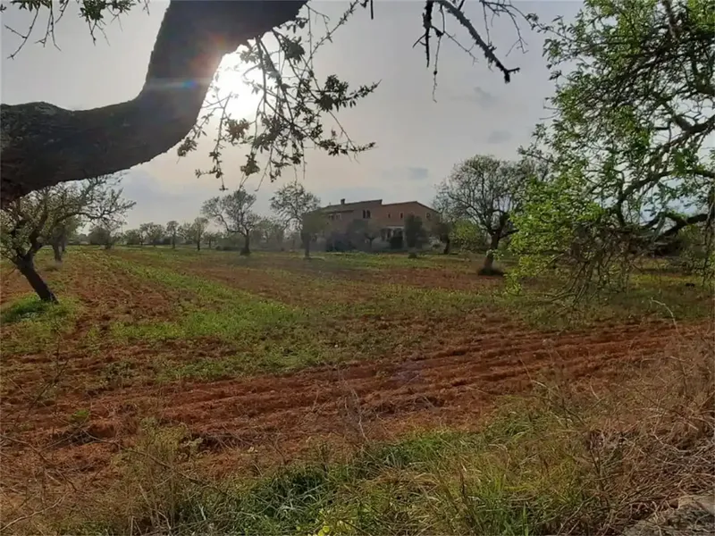 Casa de campo en Mallorca, Campos de 375 m2 construidos sobre una parcela de 15.429 m2. A tan sólo 7 km de una de las playas más bonitas de  — photo 4