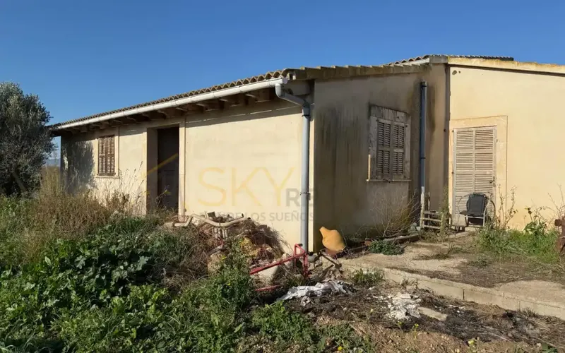Developable Land in Sa Pobla: Nature and Future — photo 4