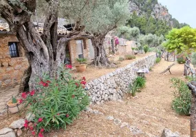 Finca in a Charming and Unique Setting — photo 6