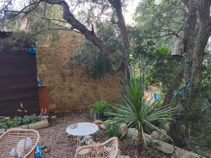 Finca of 12000 m² in the area of Sa Comuna, almost entirely enclosed by stone wall, with an old stone cottage of about 30 m² and an annex — photo 3