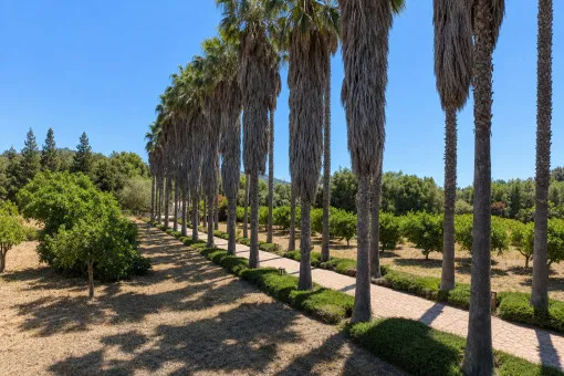 Campanet: Charming finca with wonderful garden and pool in the idyllic countryside of Campanet — photo 4