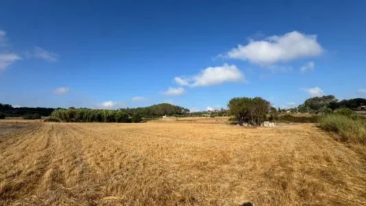 Rustic Land - Maria de la Salut — photo 1
