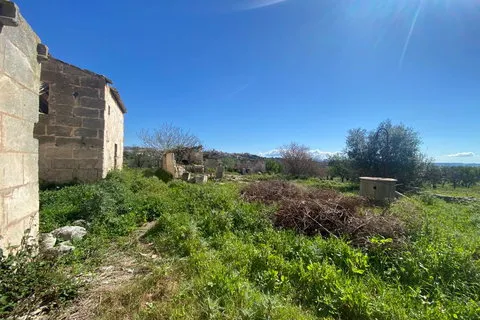 Cortijo in Campanet, Mallorca — photo 7