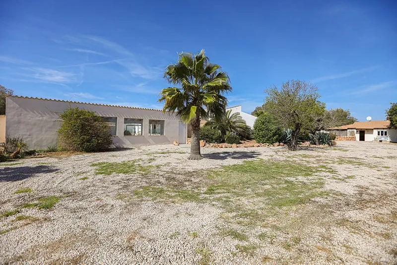 Modern finca with pool and beautiful garden in Llucmajor Mas — photo 10