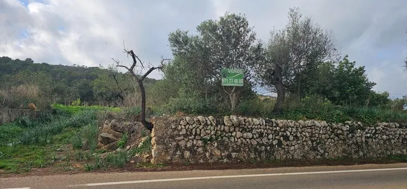 Land in Santa Eugènia, Province of Balearic Islands — photo 1