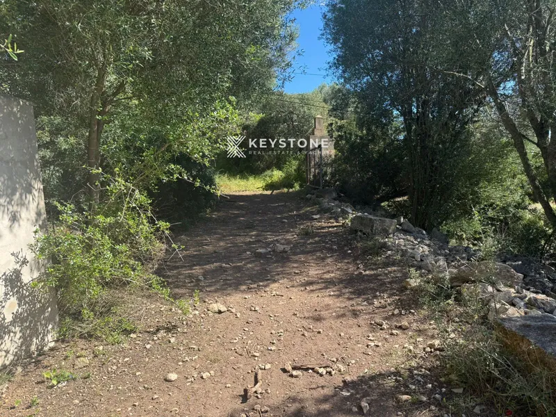Plot — photo 12