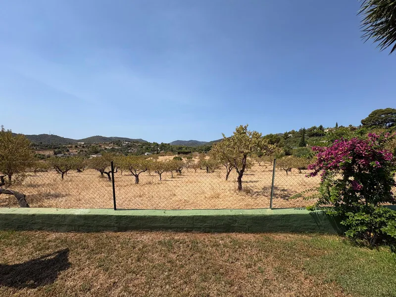 Rural finca in Establiments — photo 10