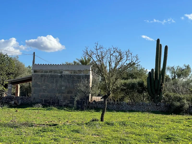 Small rustic finca with land of 20,000 m² for sale with project for a detached house of 225 m² — photo 4