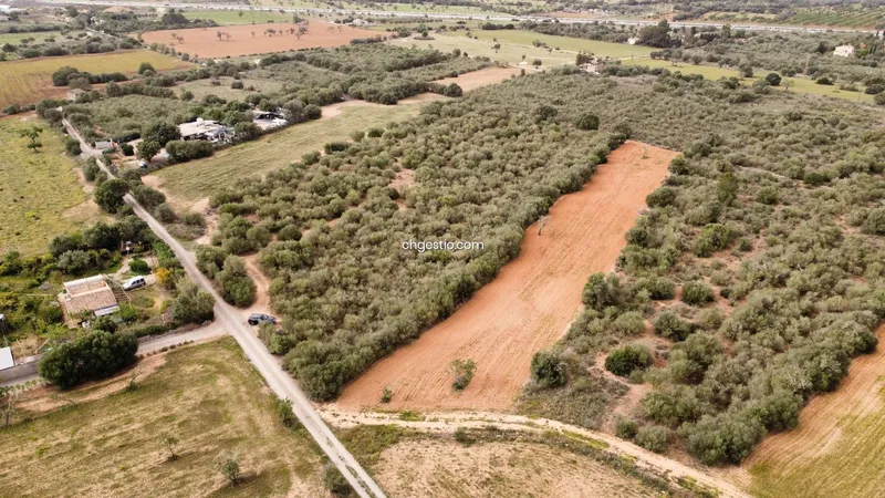 Plot in Campos — photo 9