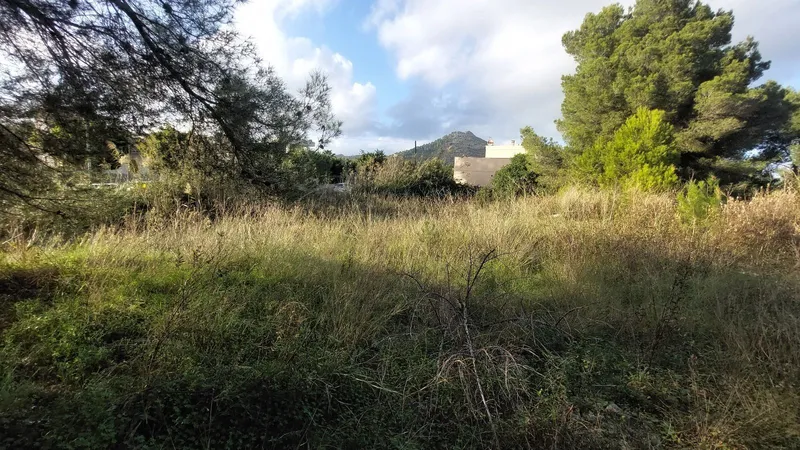 Buildable urban plot of 1,327 m2 in Port d'Alcudia — photo 3