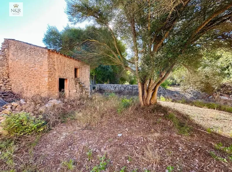 IKV00500-1. Rustic estate for sale in Llubí with good access. — photo 7