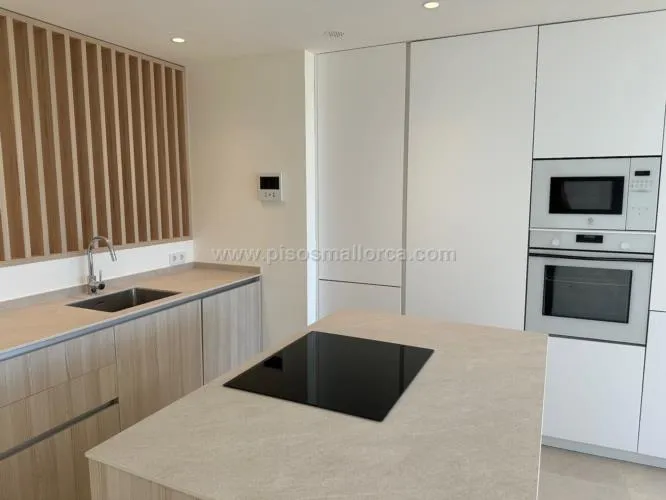 Penthouse. Palma de Mallorca, Son Cotoner area — photo 10