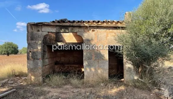 Country House in Llucmajor — photo 11