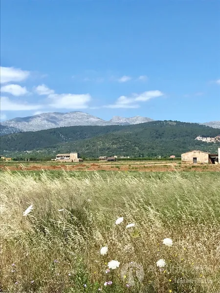 Plot — photo 4