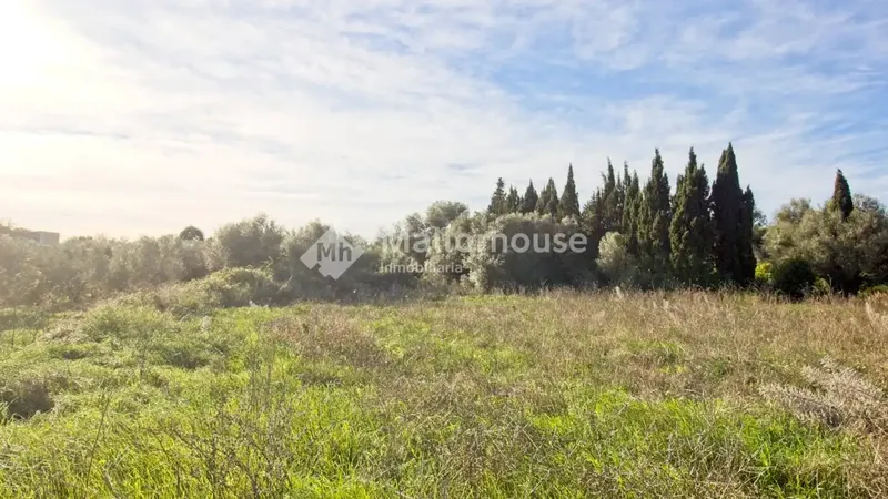 Beautiful plot of 14,033 m2 a few meters from the town of Muro, with clear views and native vegetation of the islands. Easy access by — photo 9