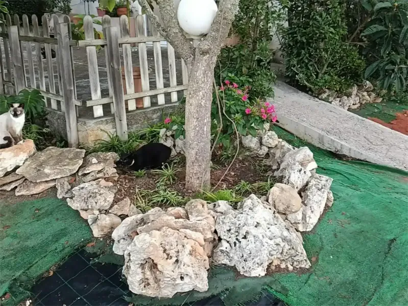 🌿 Finca rústica con casa independiente, piscina y placas solares en Algaida, cerca de Palma — photo 5