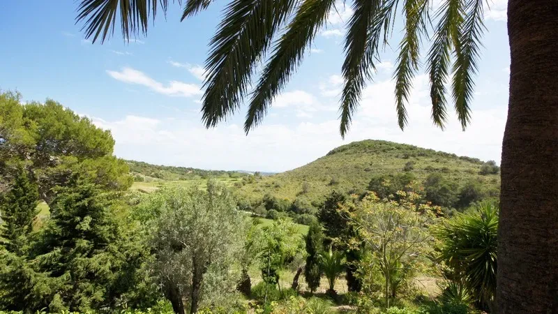 Historic rustic finca in idyllic spot in Manacor — photo 12