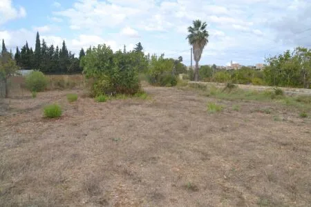 Rustic property - Campanet, Built Surface 20m², Plot Surface 4316m², 1 Room — photo 11