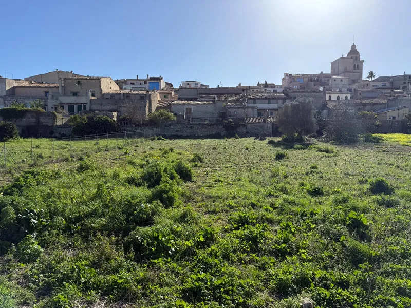 Urban Plot of 446m² in Montuïri: Fast License — photo 1
