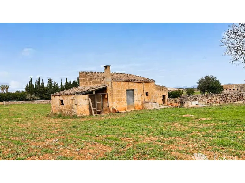Finca with sea views and approved project in Santa Margalida — photo 6