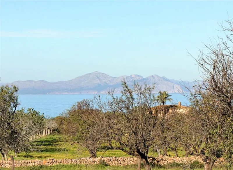 Rural or Farmhouse in Colònia de Sant Pere, Province of Balearic Islands — photo 3