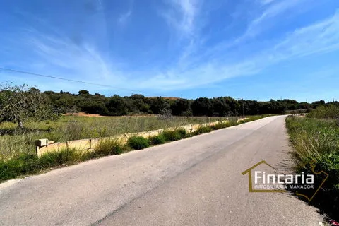 Country house in Sant Llorenc Des Cardassar, Mallorca — photo 10