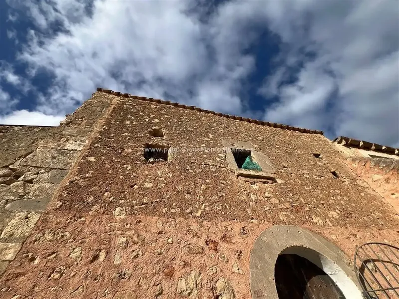 finca in Llubi — photo 10
