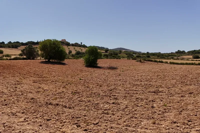 Land for Sale in Sant Llorenç des Cardassar — photo 5