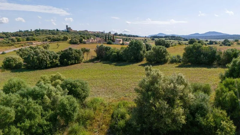 Land in Ariany, Province of Balearic Islands — photo 4