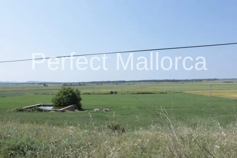 851,360 m² estate with 600 m² living space for sale — photo 12