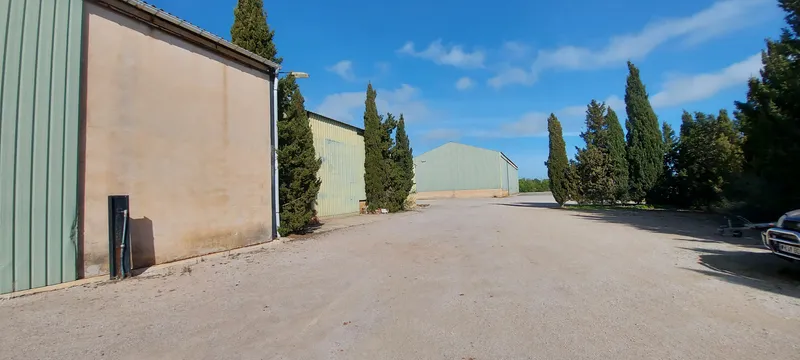 I-3080 Spectacular estate between Campos - Sa Ràpita of 85,000 m2 ideal for horses — photo 9