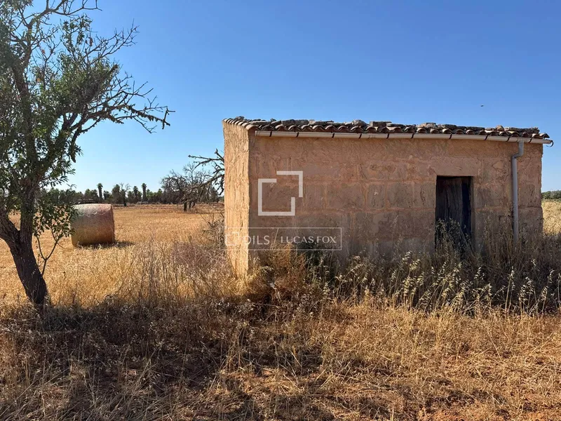 19,544m² plot with 19,544m² garden for sale in Campos — photo 1