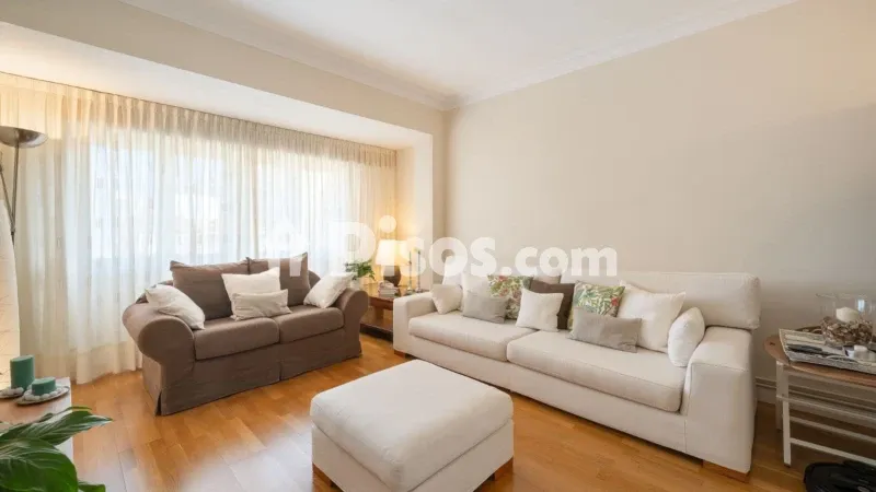 Apartment in Plaza de Toros — photo 2