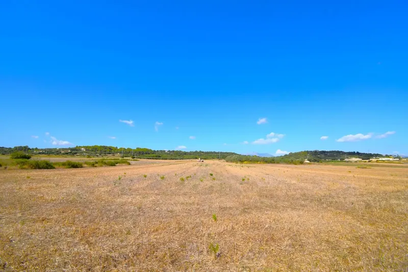 Set of plots totaling 19,622 m2, with the possibility of building a house in a privileged natural environment in Muro — photo 7