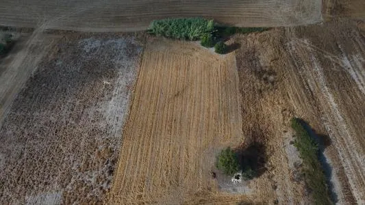 Rustic Land - Maria de la Salut — photo 6