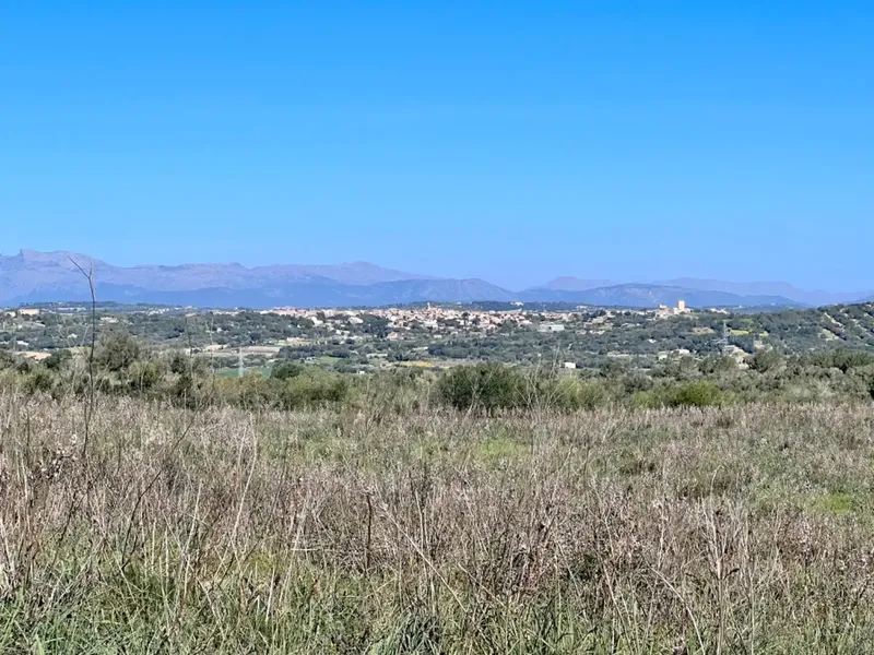 We are in Petra, in the middle of Pla de Mallorca, in a privileged setting with panoramic views, views of Ariany, Maria de la Salut — photo 12