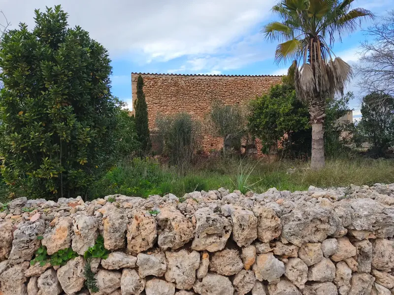 Discover this charming agricultural estate of four cuarteradas, located in a privileged setting with stunning views of the Tramuntana — photo 9